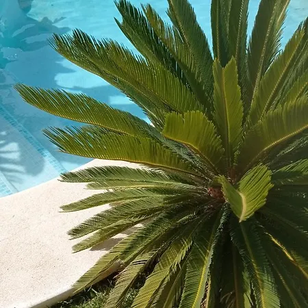Apartament El Vaiven *